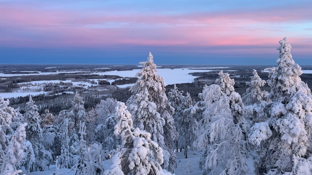 Uitzicht tijdens Sneeuwschoenwandelen.